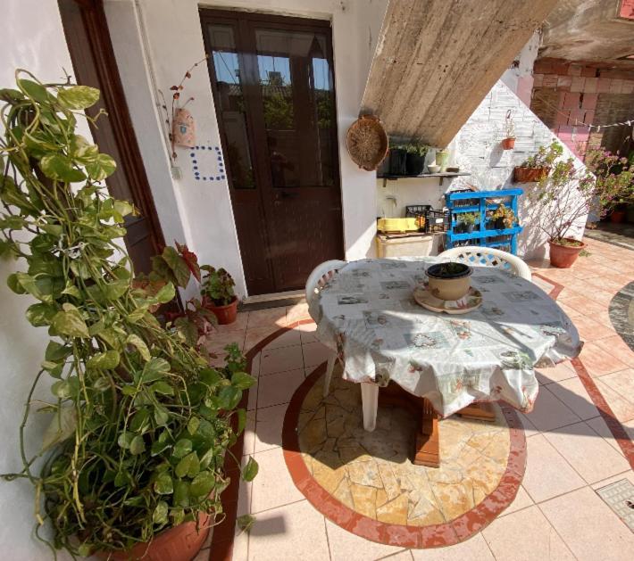 Shaka Guest House Giba Zewnętrze zdjęcie